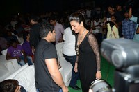 Race Gurram Success Meet Photos